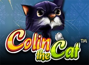 Colin the Cat