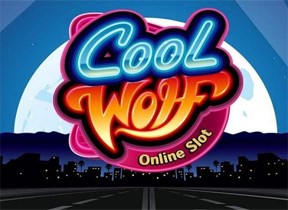 Cool Wolf