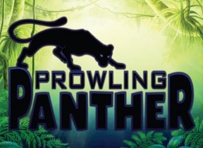 Prowling Panther