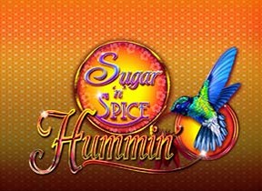 Sugar N Spice Hummin