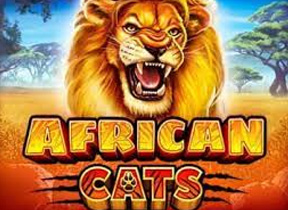 African Cats
